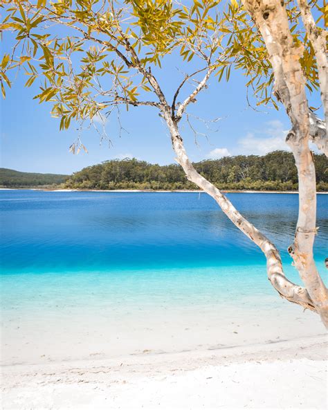 The Blue Waters Of Lake Mckenzie On Kgari Fraser Island Queensland