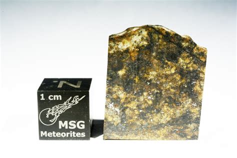 Nwa 12845 L6 Chondrite Meteorite Part Slice Weighing 246g Msg Meteorites