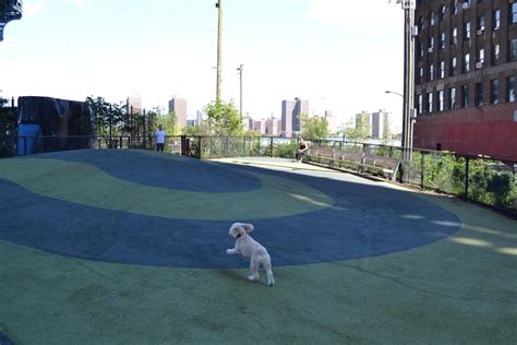 Dog Runs Brooklyn Bridge Park