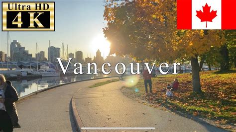 🇨🇦🍁stanley Park Vancouver Autumn Foliage 4k 60fps 10 Minutes Walk