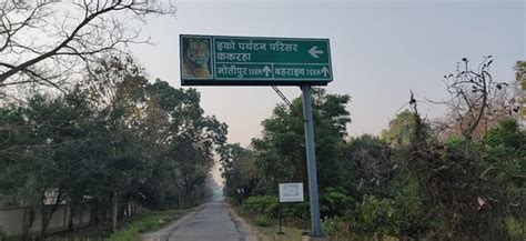Katarniaghat Wildlife Sanctuary Bahraich 2021 What To Know Before