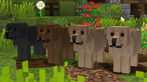 Better Dogs Minecraft Resource Packs Curseforge