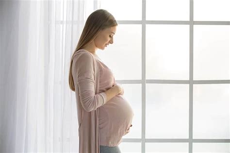 Vendaje Literatura Dormitar Curiosidades Sobre El Embarazo Es Barato