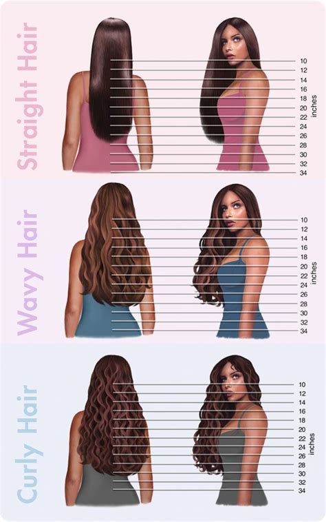 Pin By Lexienicole On Hurrrrrr Hair Inches Hair Chart