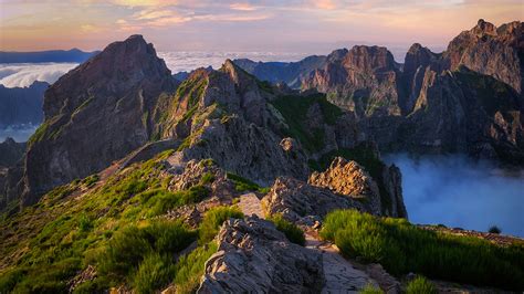 African rhythms form the basis for colombia's modern cumbia and champeta forms. Pico do Arieiro / Pico Ruivo / Achada do Teixeira (Madeira ...