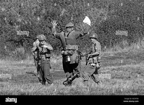 Germans Surrender To The American Infantry In Normandy France 1944