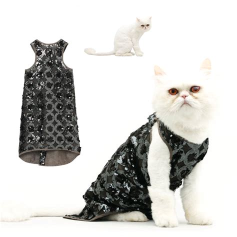 Fashion Cats Cute Cats