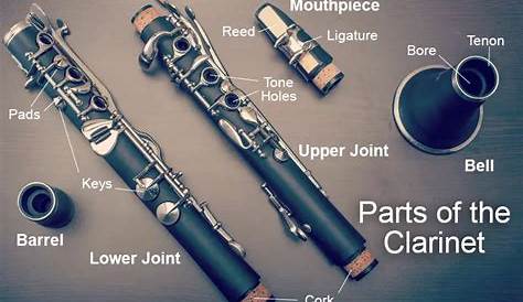 Deep Cleaning Your Clarinet: 10 Easy Steps With Tips – Clean My Instrument