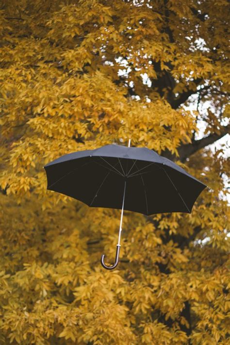 We did not find results for: Do I Need an Umbrella Insurance Policy? - Moore Resources Insurance