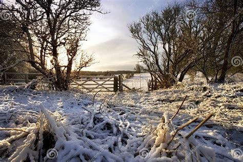 Winter Morning In The Yorkshire Dales England Stock Photo Image Of
