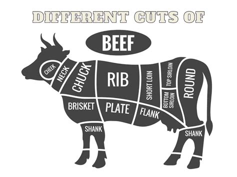 What Are The Different Cuts Of Meat Beef Primal Sub Primal Cuts