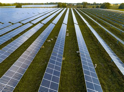 Solar Farm Faqs Lightsource Bp Usa