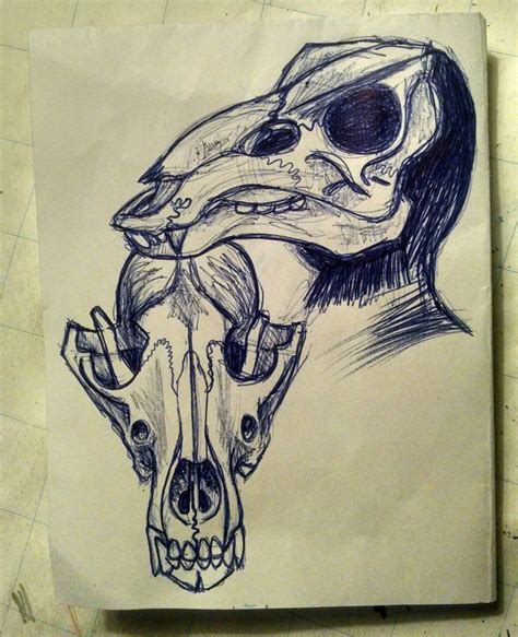 14 Skull Dog Drawing Neavenasrina