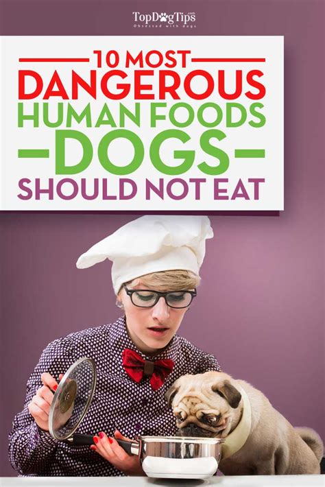 These human food maybe not recommended for dogs in western world, but that what i fed my first dog when i was in ambon. Foods Dogs Should Not Eat: 10 Human Foods That Are ...
