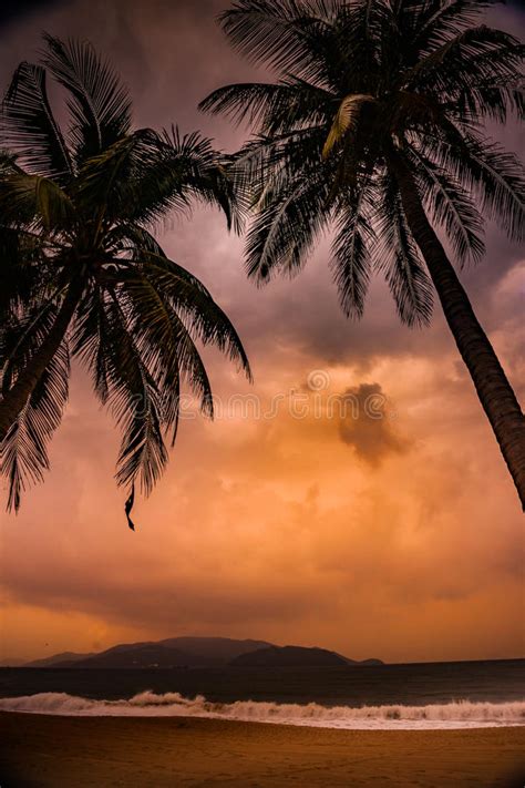Silhouette Of Palm Tree At Beautiful Tropical Sunset Stock Photo