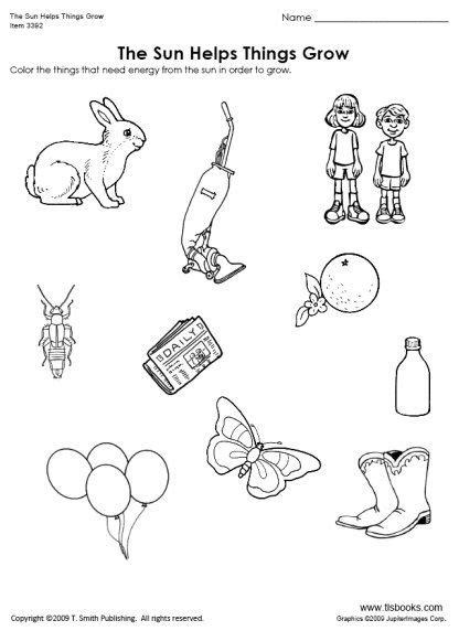 Our preschool and kindergarten science worksheets introduce concepts related to life sciences (plants, animals and our bodies), earth science (weather and the environment) and the physical sciences (forces, energy). The Sun Helps Things Grow