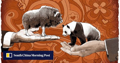 50 Years Of Panda Diplomacy The Softest Power Meets The Hard Reality