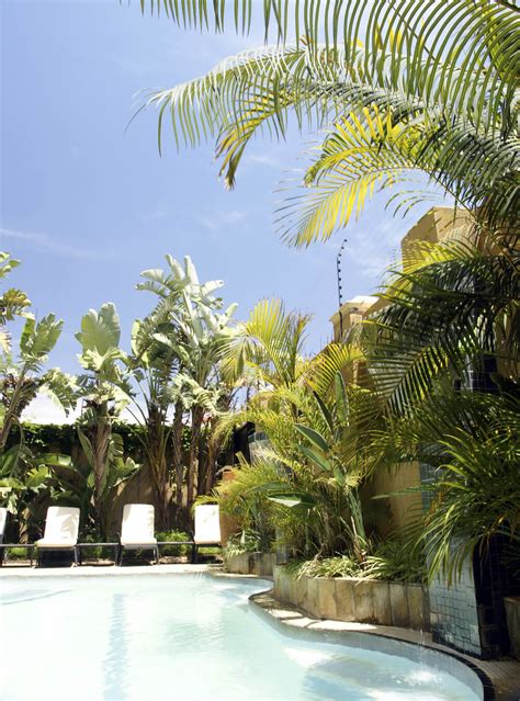 30 Spectacular Backyard Palm Tree Ideas Home Stratosphere Arquidia