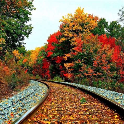 10 Best Beautiful Fall Scenery Images Full Hd 1080p For Pc Desktop 2021