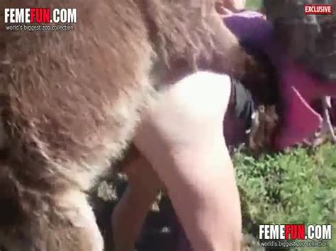 Women Getting Fucked By Donkeys
