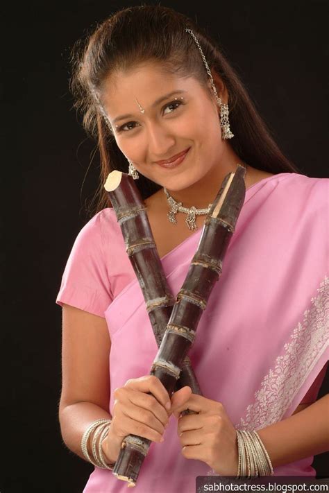 Tamil Actress Laila Mallu Actress Laila South Indian Actress Model Telugu Actress Indian Film
