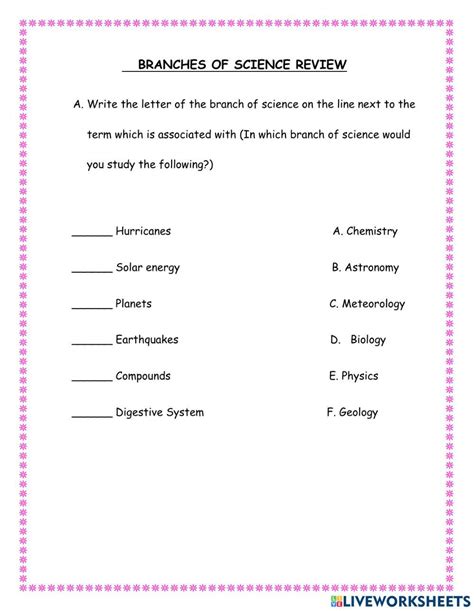 Branches Of Science Exercise Live Worksheets