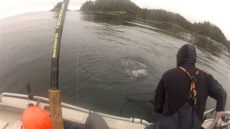 Salmon Fishing Ocean 2013 Youtube
