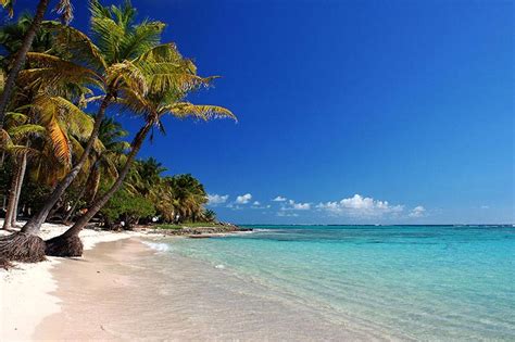 These are the best websites on these topics. Kenia Strandurlaub zu Bestpreisen buchen