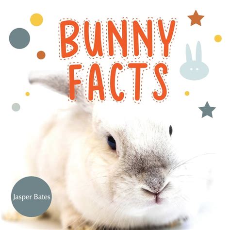 Bunny Facts Enjoy Facts About Rabbits That You May Dont Know Before