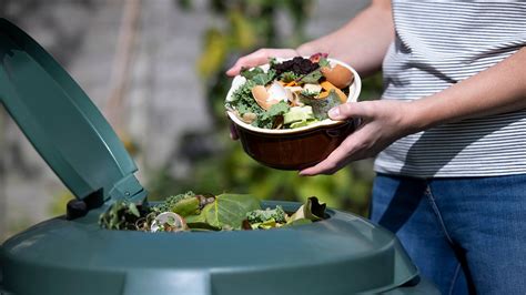 What Is Composting Turn Food Scraps Into Gardening Gold