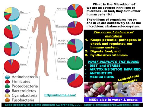 Microbiome What Disrupts It Biome Onboard Awareness The Science