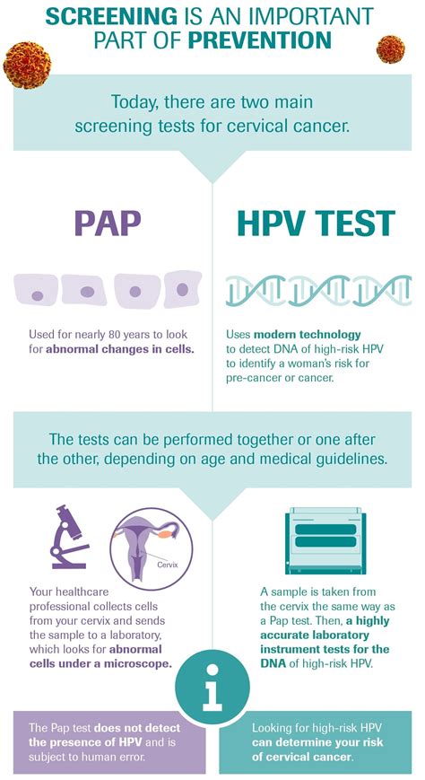 Pap Smear Vs Hpv Test An Overview My Xxx Hot Girl