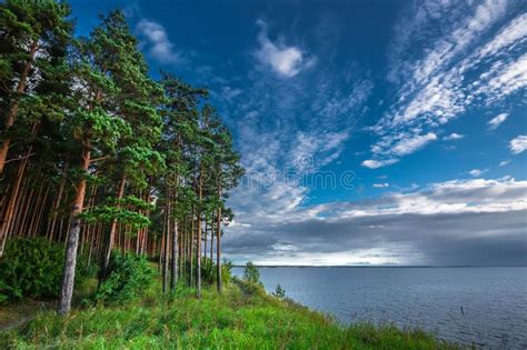 River Summer Landscape The Coast Of Ob Of The Novosibirsk Reservoir