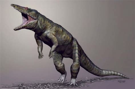 Ancient North American Crocodylomorph Nicknamed The Carolina Butcher