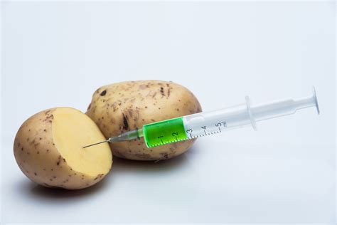 Are Gmo Potatoes Safe A Biogenineer Reveals The Truth