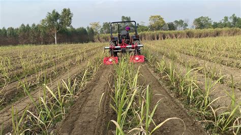 2 Row Inter Row Rotary Weeder Or Sugarcane Weeder For Sugarcane Trench
