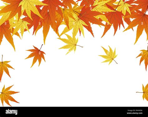 Pattern Of Autumn Maples Leaves Vector Illustration Stock Vector Image