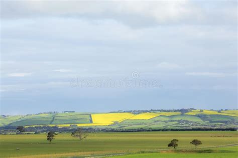 432 Australian Country Landscape Green Fields Photos Free And Royalty