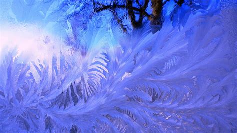 Online Crop Hd Wallpaper Frosted Glass Hd Image No People Nature