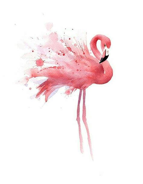 Watercolor Flamingo Wallpapers Top Free Watercolor Flamingo