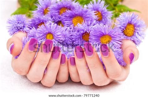 Woman Cupped Hands Purple Manicure Holding Stock Photo
