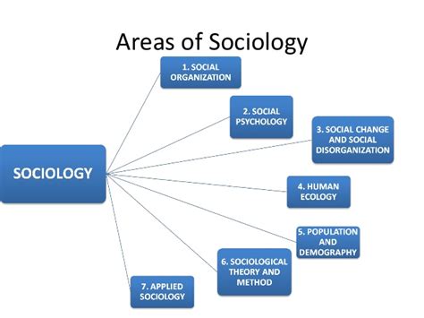Branches Of Sociology Sociology Blog