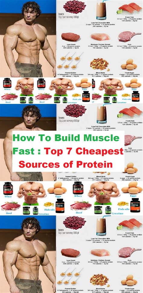 How To Build Muscle Fast Top 7 Cheapest Sources Of Protein Muscle