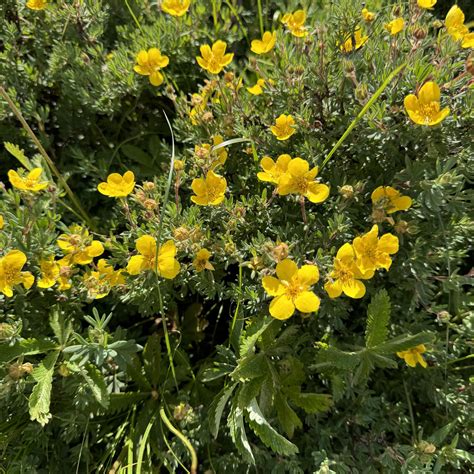 GJ Senior Recreation Center - 550 Ouray Ave GJ 81501 | Grand Junction CO