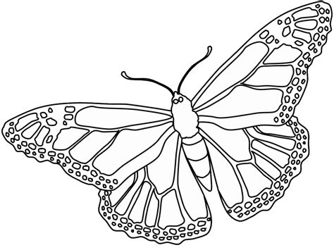 Free Printable Butterfly Templates Coloring Home