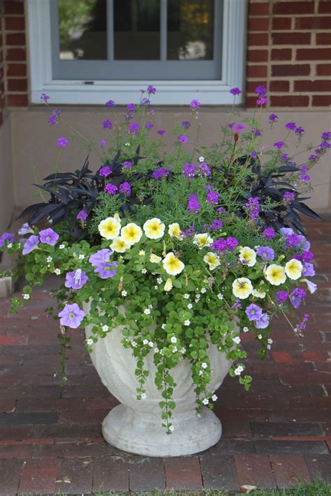 Pin By Nawada Landscape Design Inc On Planters For All Seasons