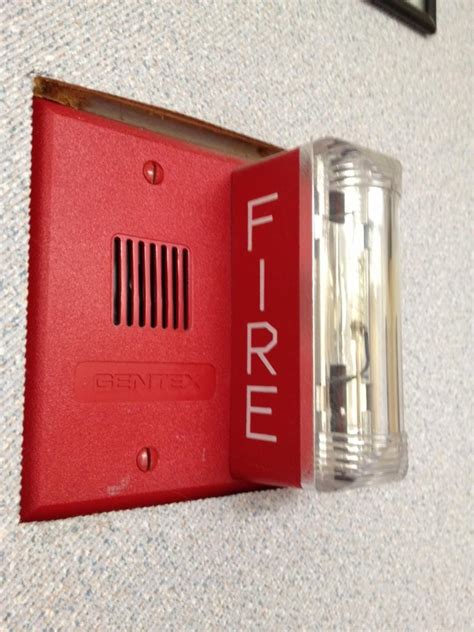 Cooking steam and smells have set off smoke alarms, and high humidity has in the past, so yes, it would be possible. Smoke Detector Set Off Before School - Shark Attack