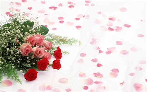 Pink And Red Flowers Hd Wallpaper Wallpaper Flare