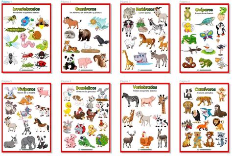 Clasificación De Los Animales Laminas Para Imprimir Materiales Educativos