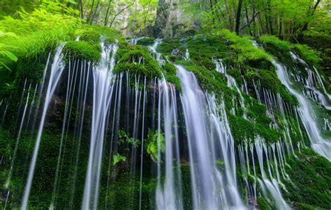 Wallpaper Water Nature Stones Vegetation Waterfall Moss Images For